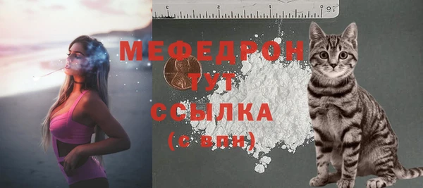 apvp Вяземский