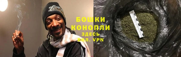 apvp Вяземский
