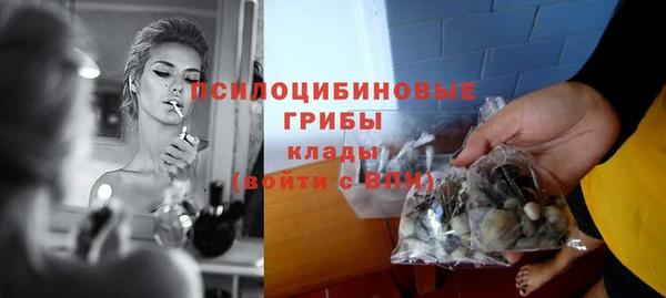 PSILOCYBIN Волосово