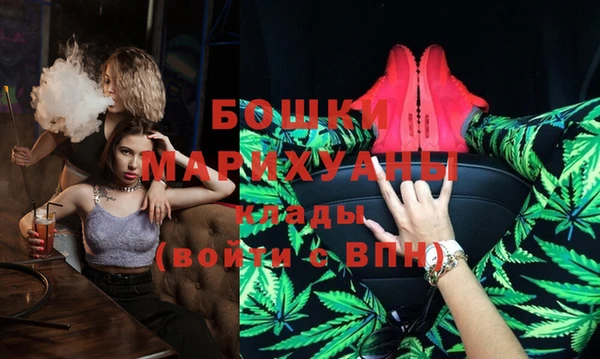 apvp Вяземский